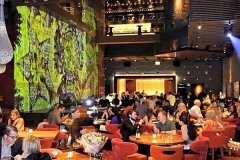 1_10649594_485926388264138_5738158733709190175_n